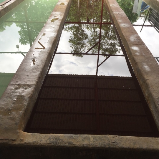 Hồ xử lý sinh học