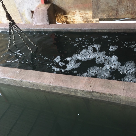 Hồ xử lý sinh học